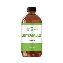 Astragalus (Organic Liquid Herb)